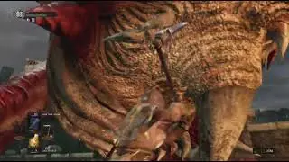 Hellkite Drake vs The Red Tearstone Ring vs Me vs Gravity