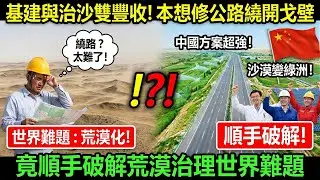 誰能想到？為繞開戈壁修公路，中國基建竟意外解鎖荒漠治理新答案