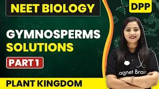 Gymnosperms (Part 1) - DPP Solutions | Plant Kingdom | NEET Biology