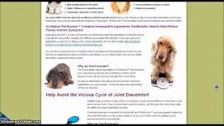 Pet Bounce.. Arthritis cure for your pets!