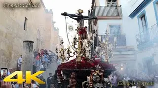 Santísimo Cristo del Remedio de Animas - Vuelta del Magno Viacrucis de Córdoba 2025