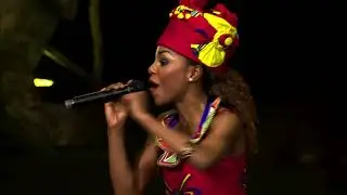 AFRICAN ARTISTE MANAGEMENT ANIMAL PARADE ACT