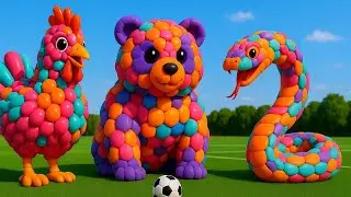 Mascot Assistant Dog Steals the Show on Football Field 🐶⚽ | Full Creative Performance | Viral Sports