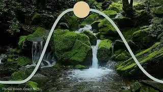 7 Minute Breathing Exercise to Relax Deeply