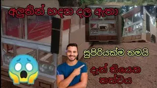 අලුතින් හදන දල අැතාගේ දැන් තියෙන තත්වය 😱😱😱 සුපිරියක් ම තමයි ඉතින් 😎😎😎