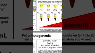 Teaching Mutation in college Genetics through yeast mutagenesis #biology #teaching #college #class