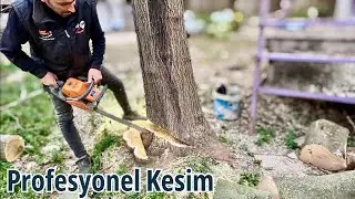 AĞA&Ccedil; KESİMİ KAPAK ALMA