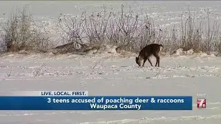 3 teens accused of #poaching deer, raccoons in Waupaca County