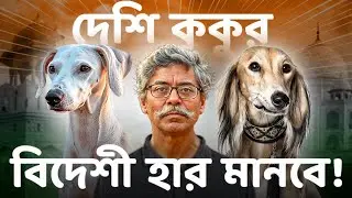 Imported Dogs Are NOT BETTER Than Indian Breeds