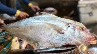 Amazing Giant Fish Cutting Skills || Fish Cutting Skills live 