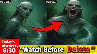 This Mermaid Encounter Started Peaceful&hellip; Until It Wasn&rsquo;t