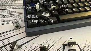 GOK 7V | PP Plate | Cherry MX Black Clear-Top (Nixie) Sound Test