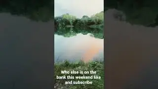 Calm Carp Fishing