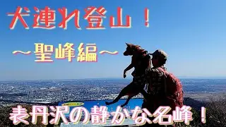 【犬連れ登山！】聖峰編。表丹沢の静かな名峰！
