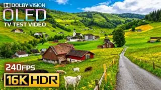 The Ultimate Visual Experience | 16K HDR 240fps Dolby Vision