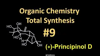 Total Synthesis 9: (+)-Principinol D
