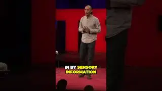 Reality A Controlled Hallucination or a Collective Illusion