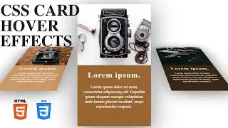 CSS Card Hover effects | HTML and CSS | how to create css transition hover effects using css