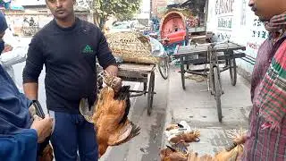Very Fast Chicken Cutting By Brillint Young Butcher in Street Chicken Market /Chicken Cutting Skills