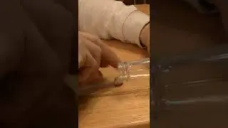 That's Nuts!