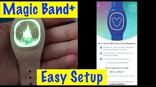 Как быстро и легко настроить MagicBand+