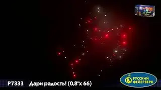 Р7333 Батарея салютов, Салют,Фейерверк Дари радость 0,8х66 залпов