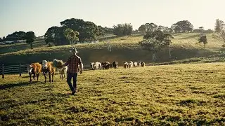 &lsquo;A resilient industry&rsquo;: Australia&rsquo;s agriculture sector able to &lsquo;diversify&rsquo; to other markets