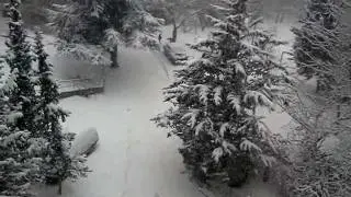 MOV089.3gp