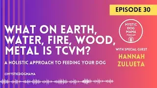 EP #30 What on Earth, Water, Fire, Wood, Metal is TCVM? with Hannah Zulueta
