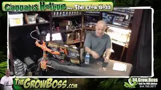 Grow Boss LIVE STREAM - stop killin your cannabis plants