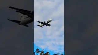 Boeing 737-4Q8 Tailwind #shorts #boeing