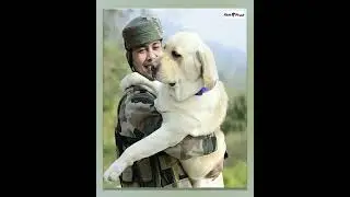 Indian Army Dogs Who Martyred For Nation 🐶🐕 #shorts