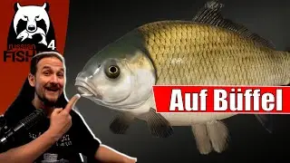 Russian Fishing 4 - Achtuba - Büffelfisch und Co.