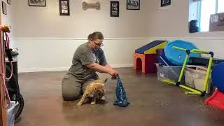 Kona&rsquo;s Maria  Aptitude Evaluation.