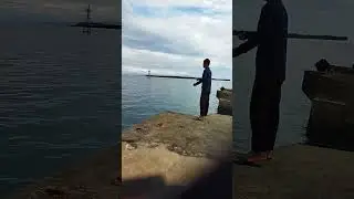 Mancing cumi di dermaga#shorts
