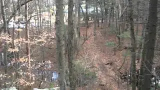 Wilson Mountain Reservation Dedham MA - The beginning of the blue trail