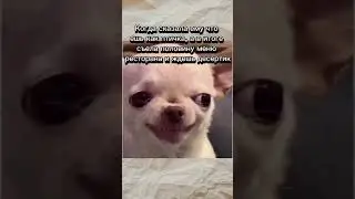 День 18 #мем #отношения #пара #любовь #ресторан #покорми #прикол #смешно #funnyvideo #memesvideo