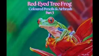Red-Eyed Tree Frog Drawing | Coloured Pencils & Airbrush - Time-Lapse Part 3