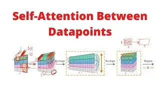 Self-Attention Between Datapoints (Paper review)