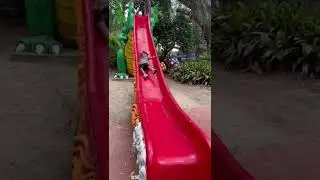 Kid Hits Head on Side of Slide - 1337813