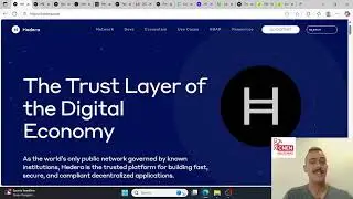CNEN - Crypto News - Deep Dive: How Hedera Rewards Work | HBAR Staking, Fees & Network Comparison