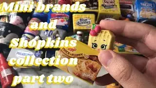 Mini brands and shopkins collection