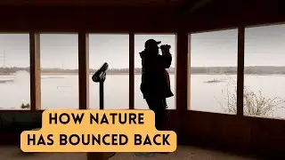 RSPB Old Moor: How nature has bounced back after the pit closures with bitterns, marsh harriers and