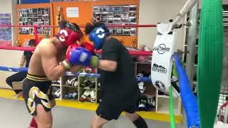 제3회 밀양시킥복싱 생활체육대회 일반부 -80kg 레드 JYW 2라운드 박형민