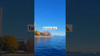 falling for fall♡ #fall #autumn #october #toronto #canada #youtube #youtubeshorts #fyp #shorts #edit