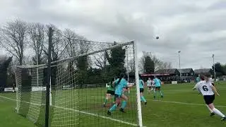 Royston Town Women Goals vs Dussindale & Hellesdon Rovers Women 16/11/25
