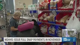 Michigan to issue full SNAP payments for November