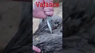 Is a $30.00 kiridashi worth the money? Valance kiridashi. 🔪#knives #shorts