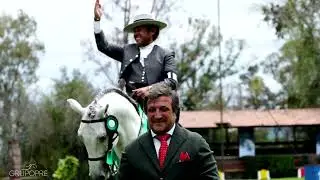FESTIVAL INTERNACIONAL DEL CABALLO LUSITANO (QUERÉTARO, MEXICO 2024)