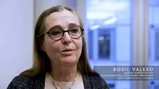 Bodil Valero - Shadow Rapporteur on Defence Industrial Development Programme | Sweden - PART 1